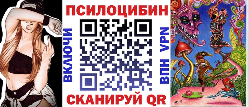 Псилоцибиновые грибы Psilocybe  купить  сайты  Северск 